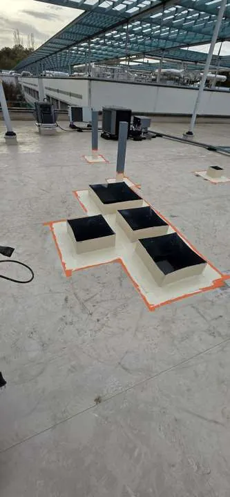 Étanchéité résine Alsan PMMA sur points singuliers de toiture-terrasse